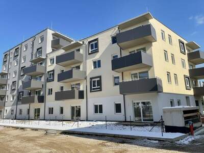 Wohnung mieten in 2700 Wiener Neustadt