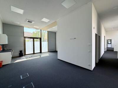 Gewerbeobjekt mieten in 8020 Graz (Bild 3)