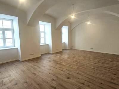 Gewerbeobjekt mieten in 1090 Wien (Bild 2)