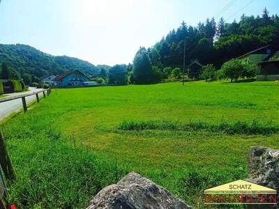 Grundstück kaufen in 2571 Thenneberg (Bild 1)