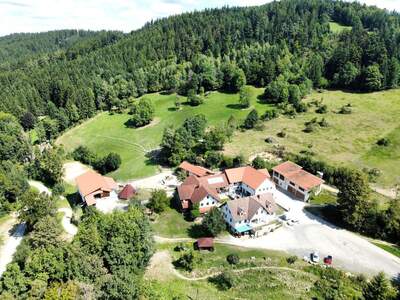 Gewerbeobjekt kaufen in 4363 Pabneukirchen (Bild 2)