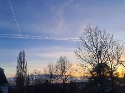Wohnung mit Balkon kaufen in 1190 Wien (Bild 2)