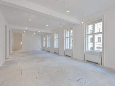 Gewerbeobjekt mieten in 1010 Wien