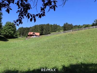 Grundstück kaufen in 8152 Södingberg