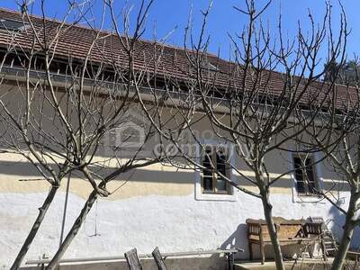 Haus kaufen in 8384 Minihof