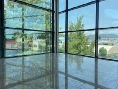 Gewerbeobjekt mieten in 8054 Graz (Bild 2)