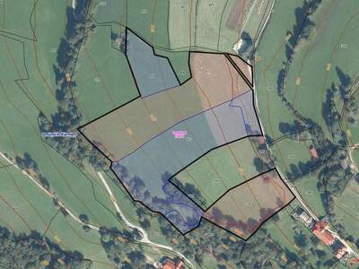 Gewerbeobjekt kaufen in 9853 Gmünd