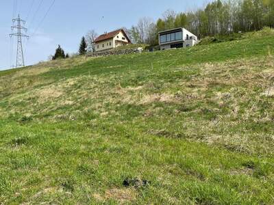 Grundstück kaufen in 8661 Sankt Barbara (Bild 3)