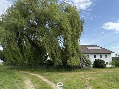 Haus kaufen in 4643 Pettenbach (Bild 3)