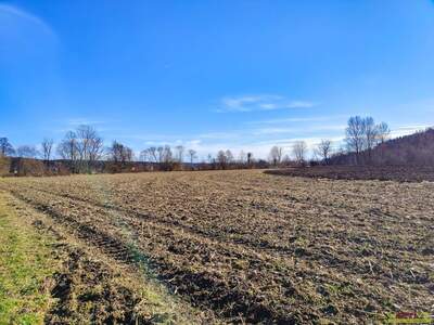 Gewerbeobjekt kaufen in 8561 Söding