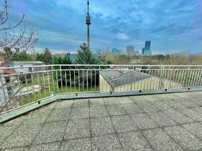 Haus mit Garten mieten in 1210 Wien (Bild 3)
