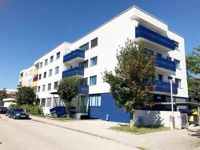 Wohnung mieten in 4600 Wels