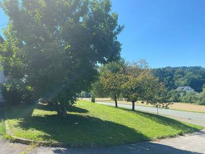 Einfamilienhaus kaufen in 8081 Pirching (Bild 5)