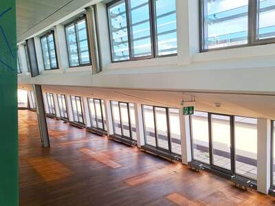 Gewerbeobjekt mieten in 1010 Wien (Bild 5)