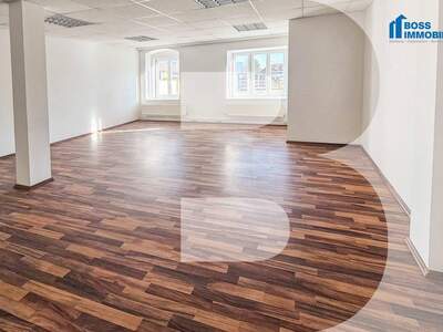 Gewerbeobjekt mieten in 4050 Traun