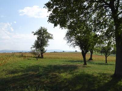 Bauernhaus kaufen in 4431 Haidershofen (Bild 2)
