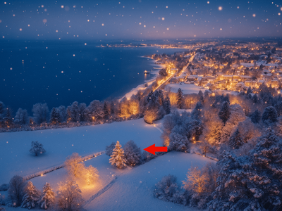 Grundstück kaufen in 6911 Lochau