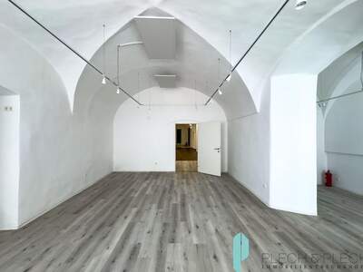 Gewerbeobjekt mieten in 1010 Wien (Bild 2)