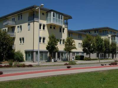 Wohnung mieten in 4609 Thalheim