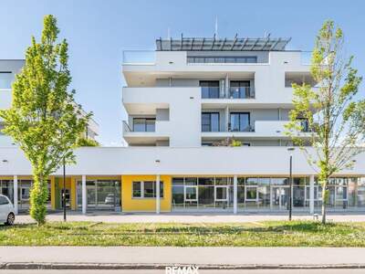 Gewerbeobjekt kaufen in 4490 St. Florian (Bild 1)