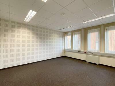 Gewerbeobjekt mieten in 8042 Graz (Bild 1)