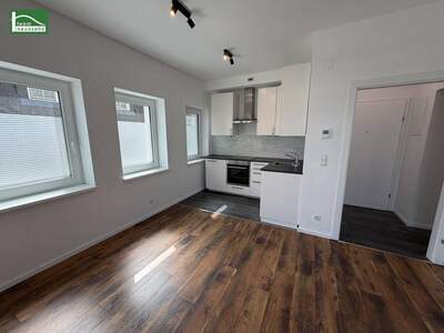 Anlageobjekt kaufen in 1190 Wien