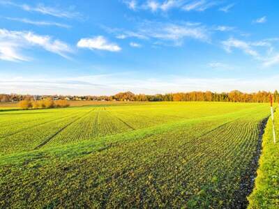 Land- und Forstwirtschaft kaufen in 5133 Gilgenberg