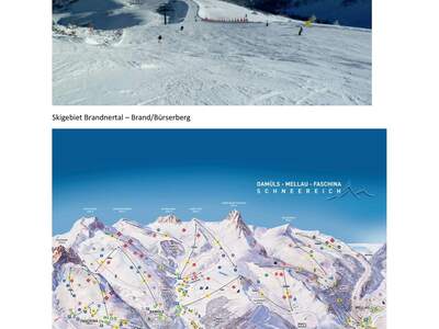 Grundstück kaufen in 6700 Braz (Bild 4)