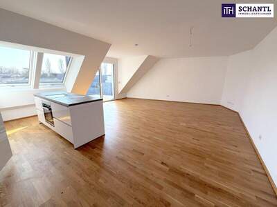 Terrassenwohnung kaufen in 1220 Wien (Bild 5)