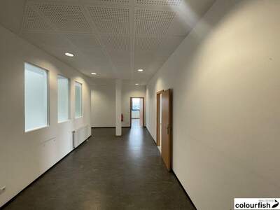 Gewerbeobjekt mieten in 1230 Wien (Bild 3)