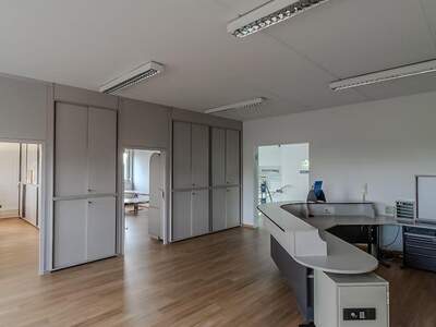 Gewerbeobjekt mieten in 3382 Loosdorf (Bild 5)