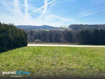 Grundstück kaufen in 3062 Kirchstetten