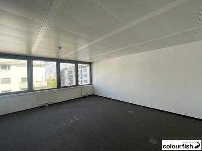 Gewerbeobjekt mieten in 1020 Wien (Bild 5)