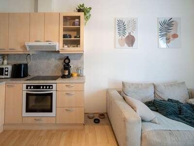 Anlageobjekt kaufen in 4133 Niederkappel (Bild 4)