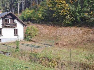 Haus kaufen in 3171 Kleinzell