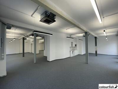 Gewerbeobjekt mieten in 1100 Wien (Bild 4)