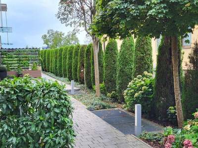 Terrassenwohnung mieten in 5026 Salzburg (Bild 3)