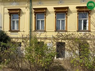 Haus kaufen in 1190 Wien