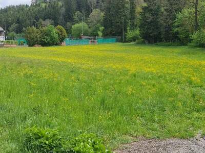 Grundstück provisionsfrei mieten in 3623 Kottes