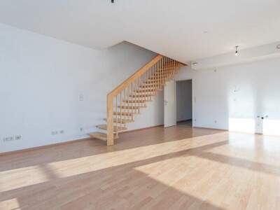 Terrassenwohnung mieten in 3382 Loosdorf (Bild 1)