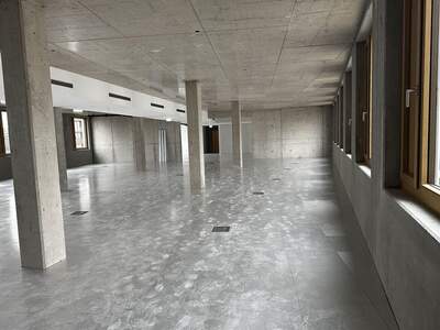 Gewerbeobjekt mieten in 1230 Wien (Bild 4)
