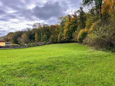 Grundstück kaufen in 2384 Breitenfurt