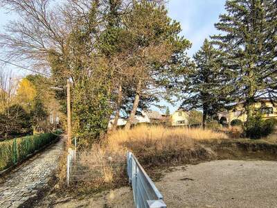 Grundstück kaufen in 1170 Wien (Bild 2)