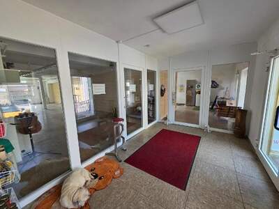 Büro / Praxis mieten in 9373 Klein Sankt Paul (Bild 4)