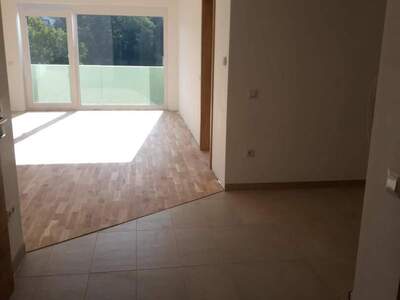 Wohnung provisionsfrei mieten in 2020 Hollabrunn