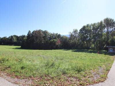 Grundstück kaufen in 9072 Ludmannsdorf (Bild 2)