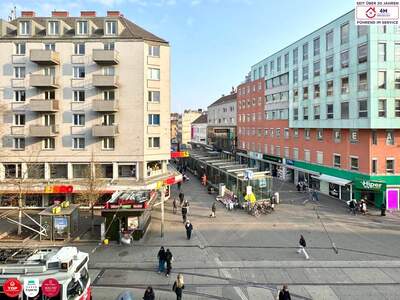 Wohnung kaufen in 1100 Wien (Bild 3)