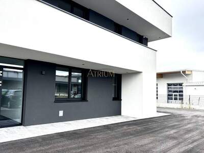 Gewerbeobjekt mieten in 2500 Baden