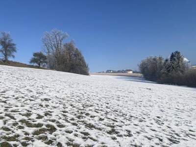 Grundstück kaufen in 4542 Nußbach
