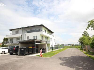 Anlageobjekt kaufen in 3425 Langenlebarn (Bild 5)